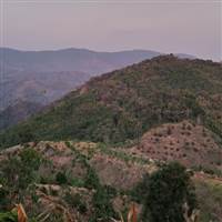 Bùi Trường Giang