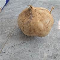 Đầu Tư Chưa Có Lãi 