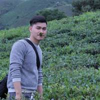 giau161819@gmail.com