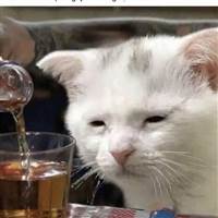 Nguời Quan Sát! 