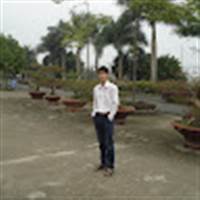 Đạo Hoàng Xuân