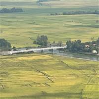 Học Đánh Chứng 