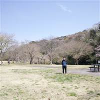 sevenam