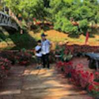 Do Hoai Anh