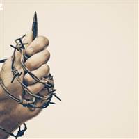 Nguyễn Phương Thảo