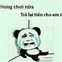 CỔ ĐÔNG CHIẾN LƯỢC 