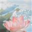 ( Bông )