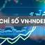 VN100