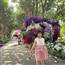 Quoc Anh