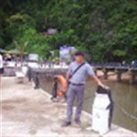 Hoang Tuan