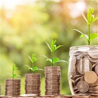 Growth Investing