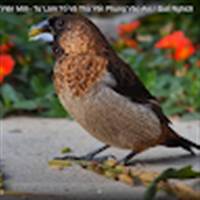 Xứ Quảng Nhà Đất