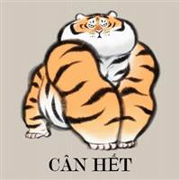 SonNN