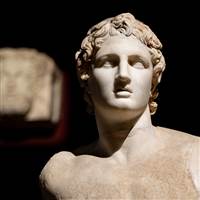 Alexander MaxPing