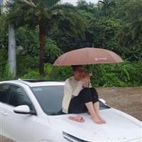 Đi Lệnh VIP