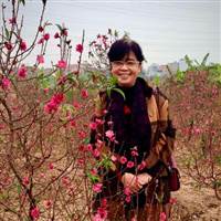 thienbinh55