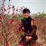 thienbinh55