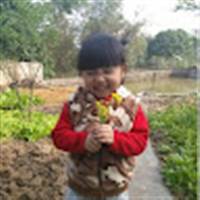 Anh văn Trương