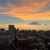 Phượng Hoàng Lửa