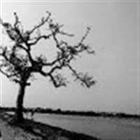 Chứng Khoán Minh Khiêm 