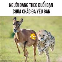 Bá Thịnh