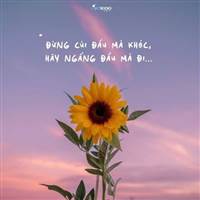 Hoa Hướng Dương