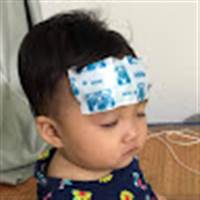 Cổ Đông Chiến Lược Dxg