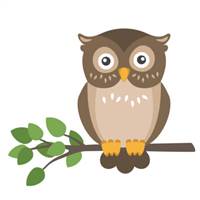 Lovely Owl