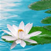 Tinh Hoa Cuộc Sống