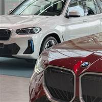 Tôn hành giã Giã hành tôn