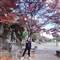 Trung Anh