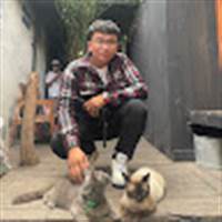 nguyentruongan2511