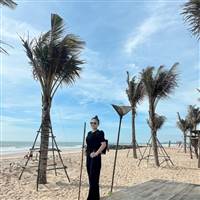 Trang Trần