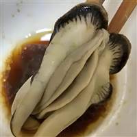 Hàu Đại Dương