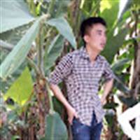 Đoàn anh