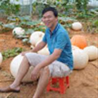 Trinh Huu Phuc