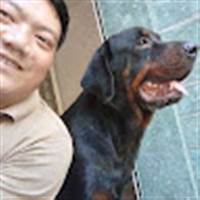 Quý Nguyễn Thế