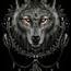 Alpha Wolf