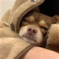 Hương Giang Nguyễn