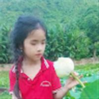 Phan Thiết Nguyễn