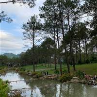 Kiếm Phong Kim (Thằng Xanh Đỏ Fake Tên Mình)
