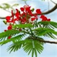 cuộc sống vẻ đẹp