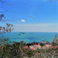 Trần Chí Thành