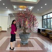Minh Luong
