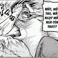 tranvanhienwruu@gmail.com