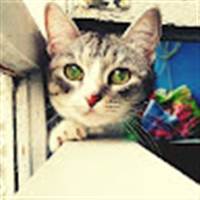 La Miên Tần Nhiên