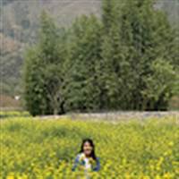 Trang Nguyễn Thùy