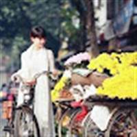 phạm nguyệt