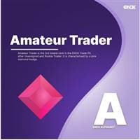 Amateur Trader