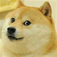 Doggo lấy hàng của bạn